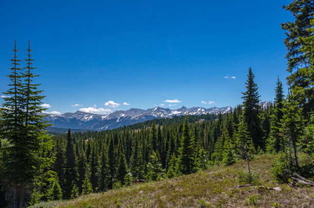 istock Mountain Vista in Summit County, Colorado 1096167198