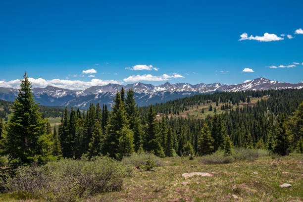 istock Mountain Vista in Summit County, Colorado 1096167204