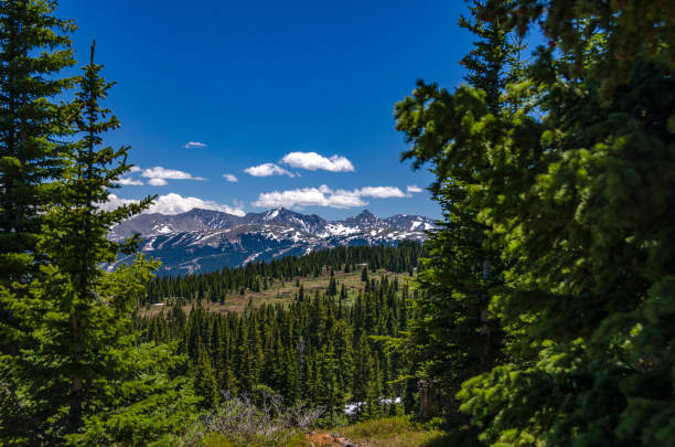 istock Mountain Vista in Summit County, Colorado 1096167260