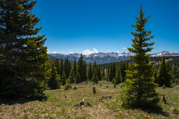 istock Mountain Vista in Summit County, Colorado 1096167430