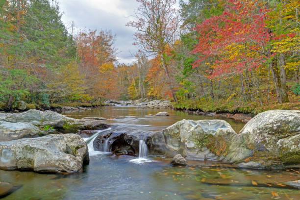istock Small stream in the Smoky Mountains surrounded with fall colors. 1096167534