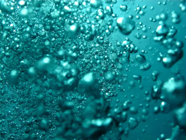 Photo of Underwater bubbles