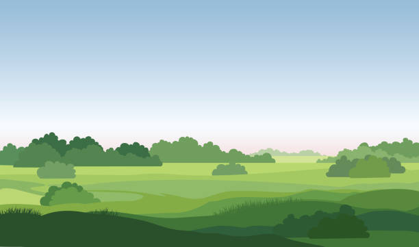 ilustrações, clipart, desenhos animados e ícones de paisagem rural com floresta, campos. fundo de horizonte de natureza rural - tree silhouette meadow horizon over land