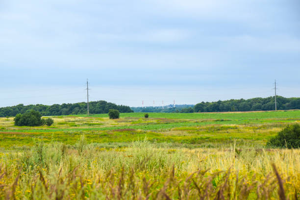 istock network of electricity yellow meadows fields blooming flowers 1096178482