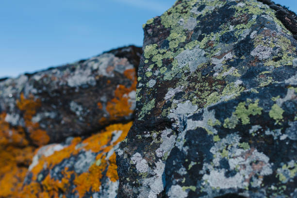 istock Stone with natural plow and lichen, northern nature 1096183690