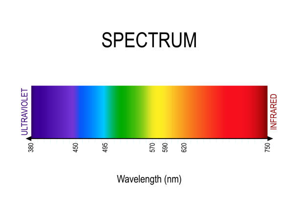 spectrum. visible light, infrared, and ultraviolet. spectrum. visible light, infrared, and ultraviolet. electromagnetic radiation. sunlight color. different types of electromagnetic radiation by their wavelengths. In order of increasing frequency and decreasing wavelength spectrum stock illustrations