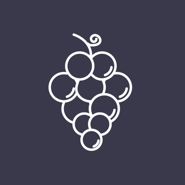 Grapes Fruit Thin Line Icon - ilustração de arte vetorial