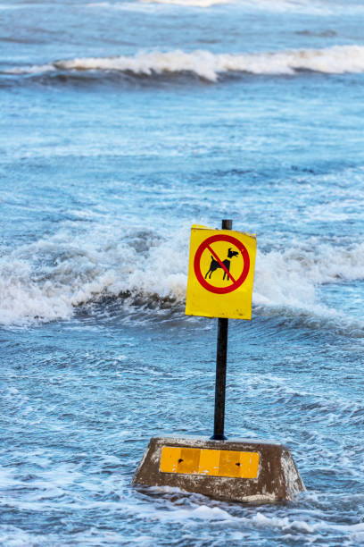 istock Prohibit sign for dogs 1096231622