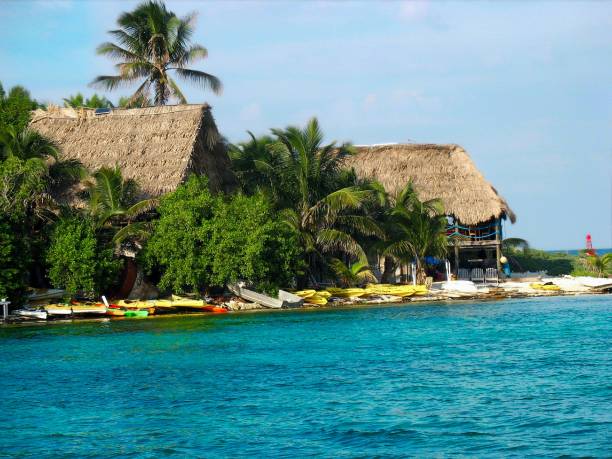 istock Thatched roof huts on Glover's Atoll, Belize 1096258916