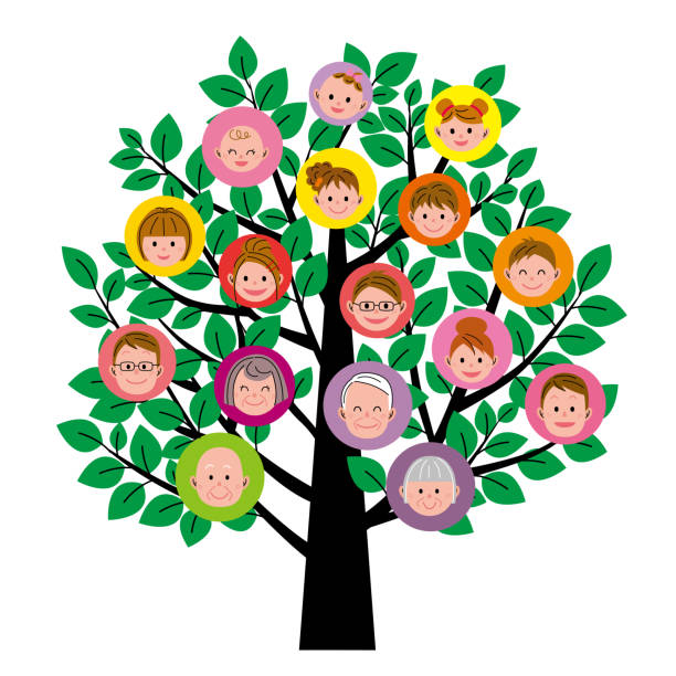 ilustraciones, imágenes clip art, dibujos animados e iconos de stock de árbol de familia - árboles genealógicos