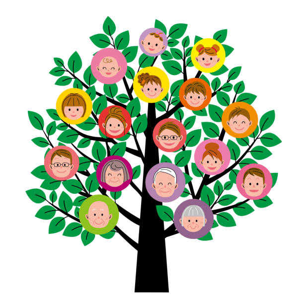 Family tree Family tree family trees stock illustrations