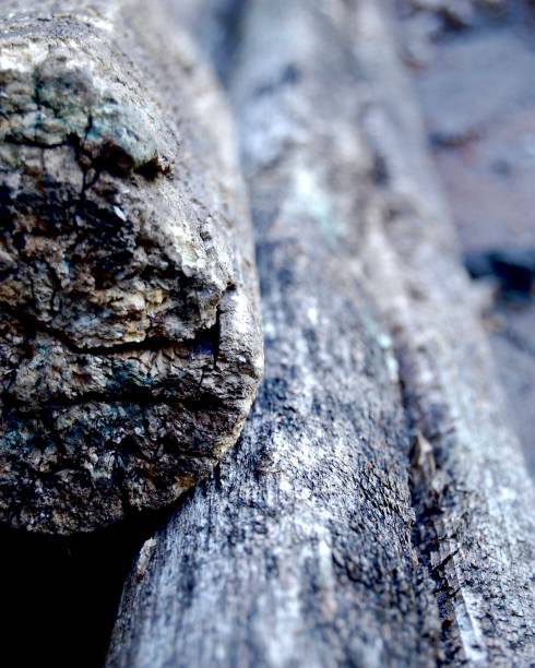 istock Close Up of Old Stacked Timbers 1096314134