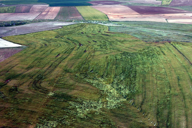 istock Geometric plantations view from helicopter 1096315604