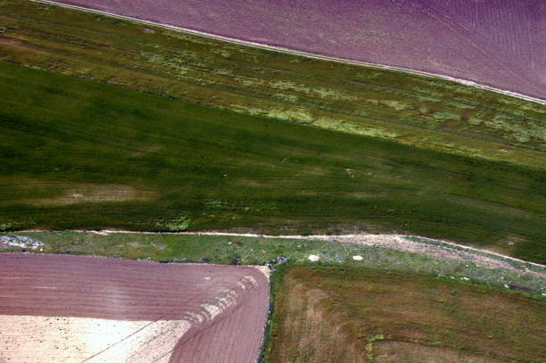 istock Geometric plantations view from helicopter 1096315878