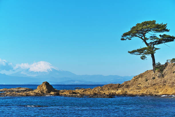 istock Mount Fuji which I watched from tateishikouen 1096317196