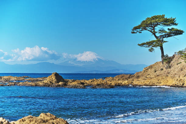 istock Mount Fuji which I watched from tateishikouen 1096317374