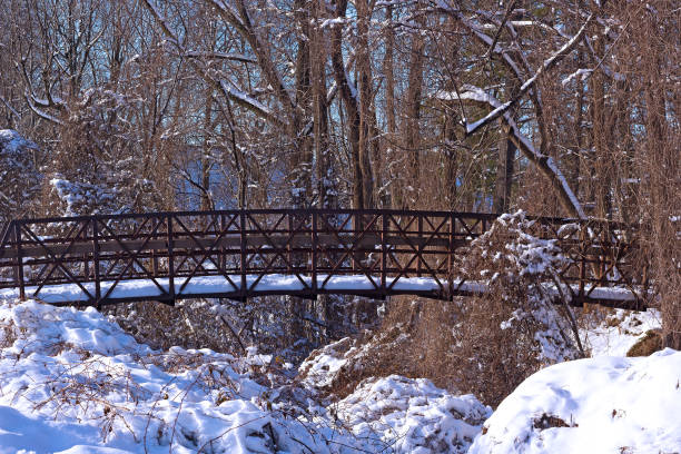 istock Forestry winter landscape with a pedestrian bridge. 1096325210