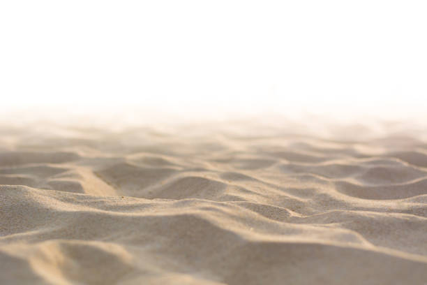 istock Close-up. Sand on the beach sea on white background. 1096325658