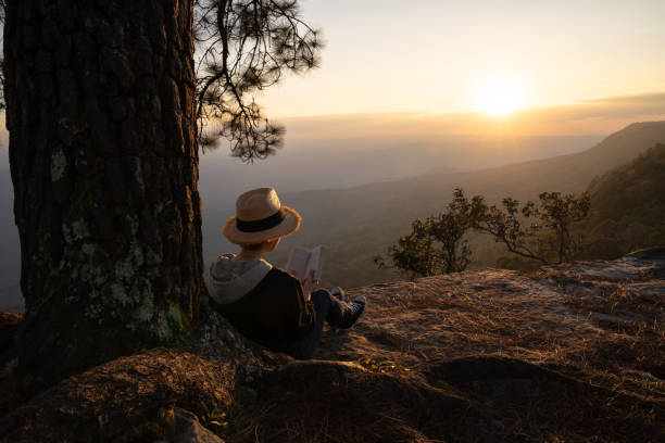 istock Woman sitting under a pine tree reading and writing looking out at a beautiful natural view 1096339310