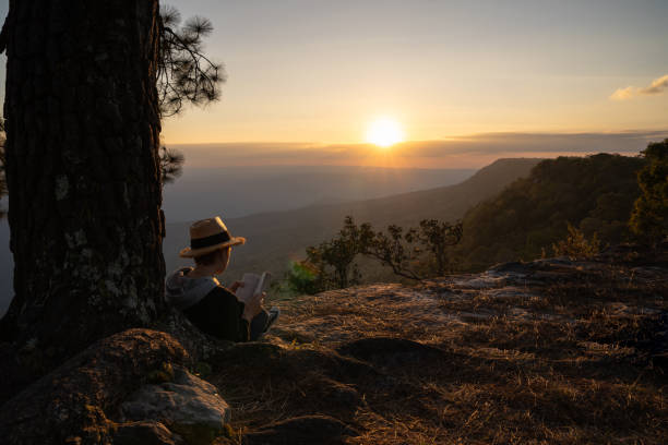 istock Woman sitting under pine tree reading book  looking out at a beautiful natural view 1096339318