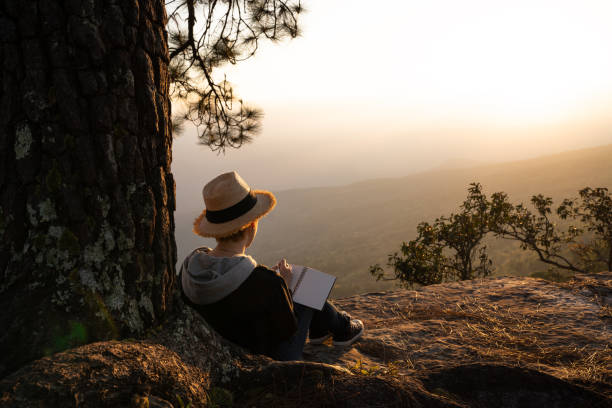 femme assise sous un pin arbre de lecture et d’écriture à l’affût à une très belle vue naturelle - landscape forest asia mountain photos et images de collection