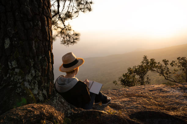 Woman sitting under a pine tree reading and writing looking out at a beautiful natural view