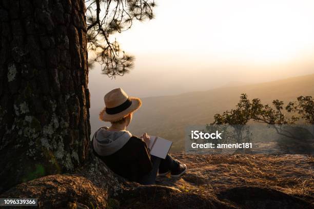 Woman Sitting Under A Pine Tree Reading And Writing Looking Out At A Beautiful Natural View Stock Photo - Download Image Now