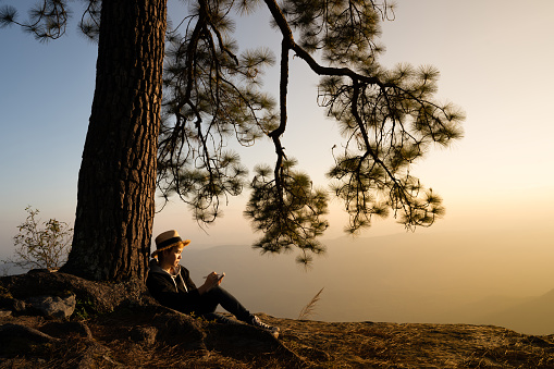 Woman sitting under a pine tree reading and writing looking out at a beautiful natural view