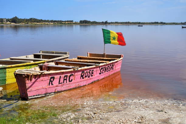 lac rose, senegal - rowboat fishing africa fishing industry zdjęcia i obrazy z banku zdjęć