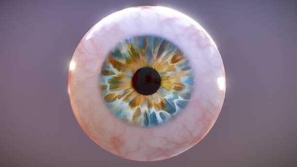istock Realistic human eyeball isolated on dark grey background, 3D illustration 1096368418