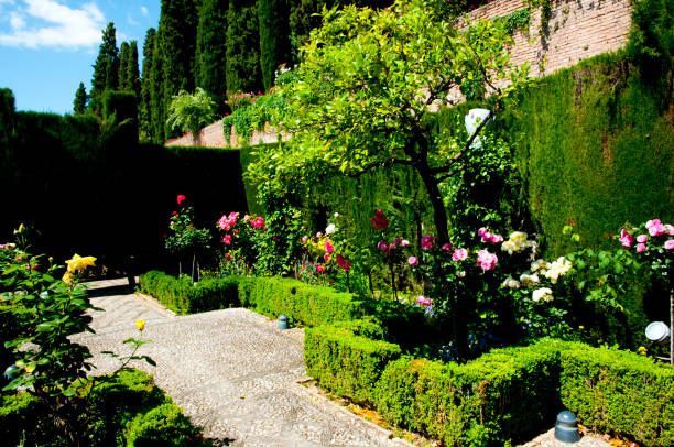 istock Garden of Generalife 1096378734
