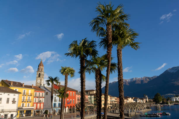 istock Palm trees in front of Ascona 1096387178