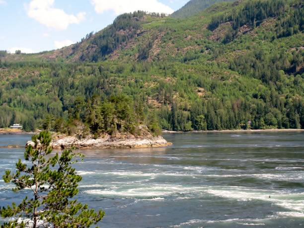 istock Tidal rapids at Skookumchuck Narrows Provincial Park 1096396592