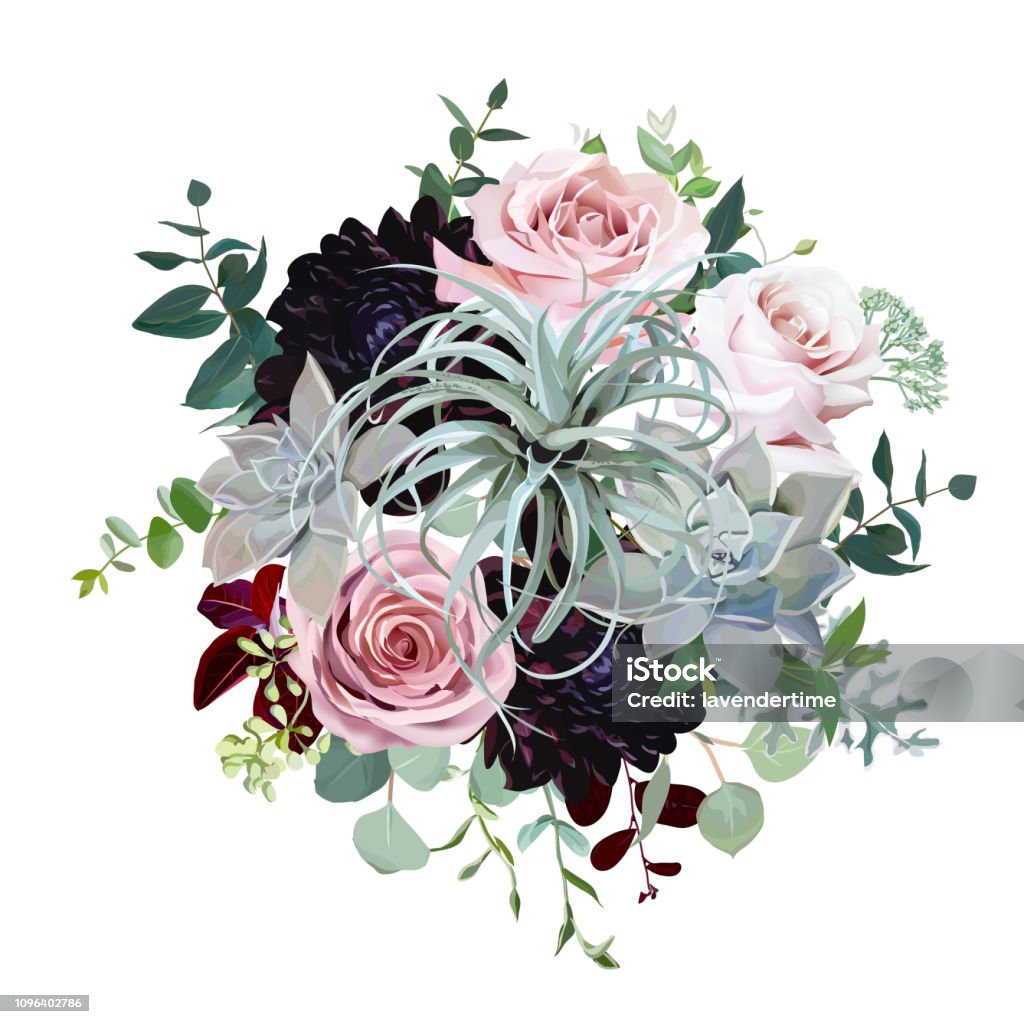 Dark burgundy dahlia, tillandsia succulent, pale roses, eucalyptus, greenery Dark burgundy dahlia, tillandsia succulent, pale roses, eucalyptus, greenery vector design wedding bouquet. Floral watercolor style bunch of original flowers. All elements are isolated and editable Flower stock vector