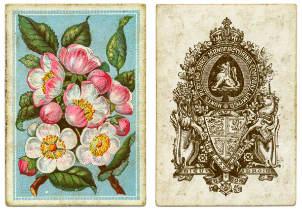 asso di picche 19 ° secolo da hunts playing card manufacturing company limited - 1870 foto e immagini stock