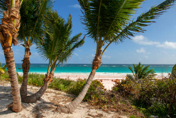 Bahamas Pink Sand Beach. Dunmore Town, Harbour Island, Eleuthera. Bahamas dunmore town stock pictures, royalty-free photos & images