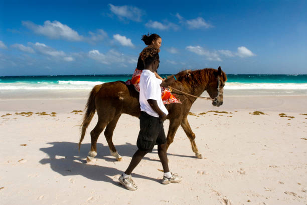 Bahamas Horse ride at Pink Sand Beach. Dunmore Town, Harbour Island, Eleuthera. Bahamas dunmore town stock pictures, royalty-free photos & images