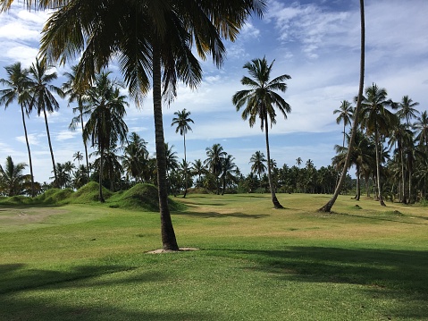 Tropical golf course