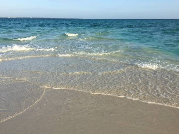 istock Sandbank outside the Zanzibar coast 1096443670