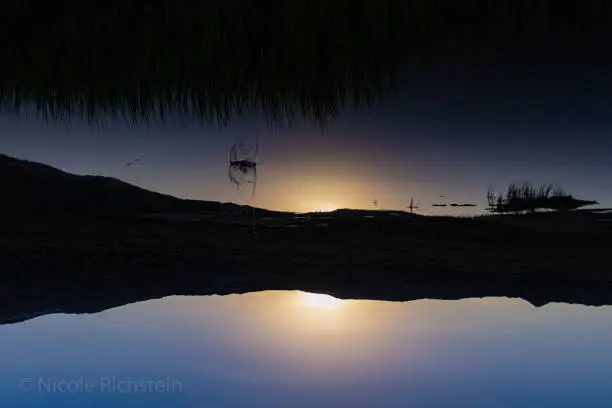 water crown in lake reflecting mountain in background at sunset upside down