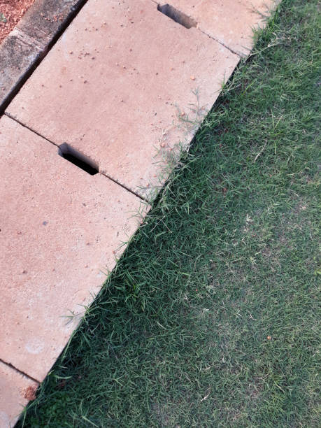 istock cement drain grate crossed and green grass with abstract background 1096446616
