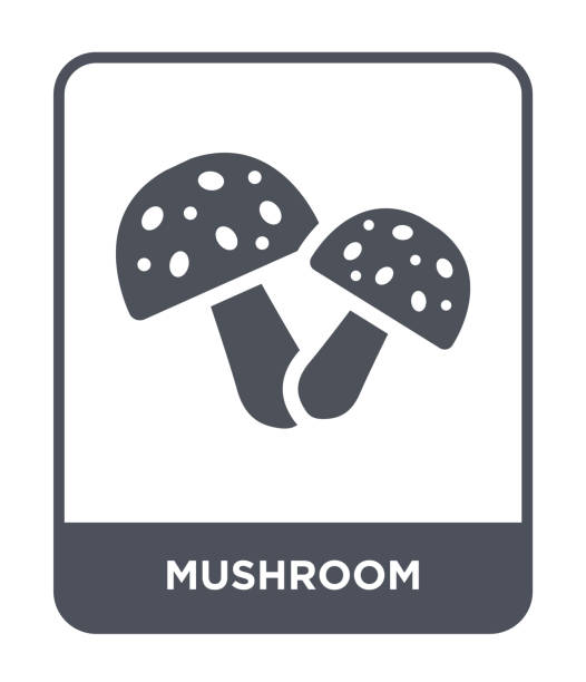 흰색 바탕에 아이콘 벡터를 버섯, 버섯 과일 및 야채 컬렉션에서 유행 채워진된 아이콘 - edible mushroom portabello mushroom white background vegetable stock illustrations