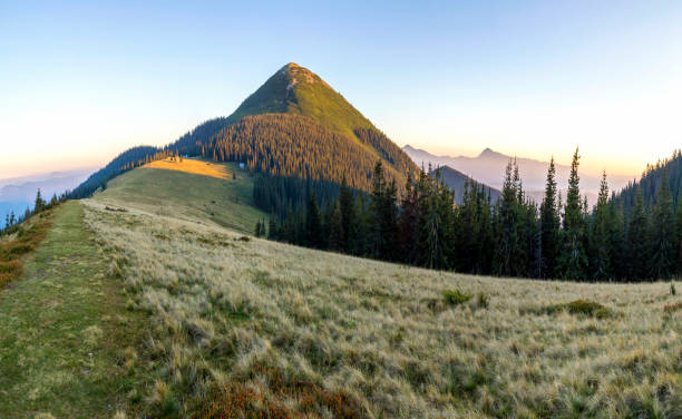 istock Soft creamy sunset in Carpathian mountains. Grass covered meadow, pine trees and distant mountain peaks. 1096448972