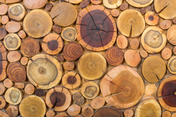 istock Round wooden unpainted solid natural ecological soft colored brown and yellow stumps background, Tree cut sections different sizes for pad mat background texture. Do It Yourself art concept. 1096449156