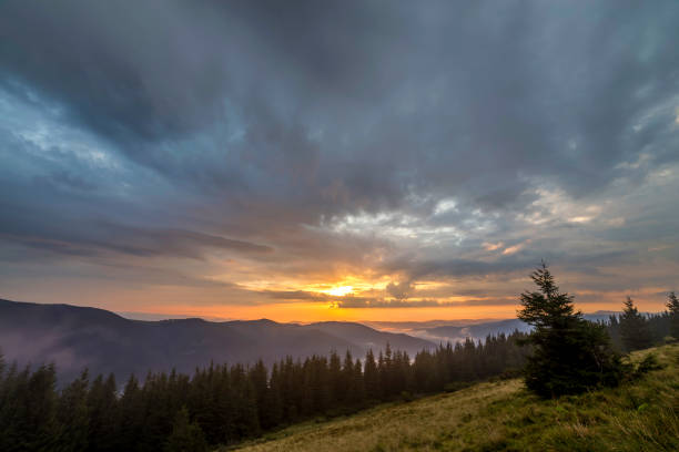 istock Panoramic summer view, green grassy valley on distant woody mountains background under cloudy sky. 1096454696