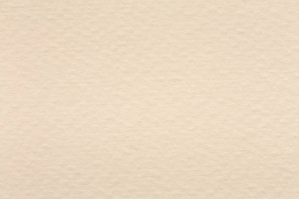 istock Paper texture light rough textured spotted blank copy space background in beige. 1096464356