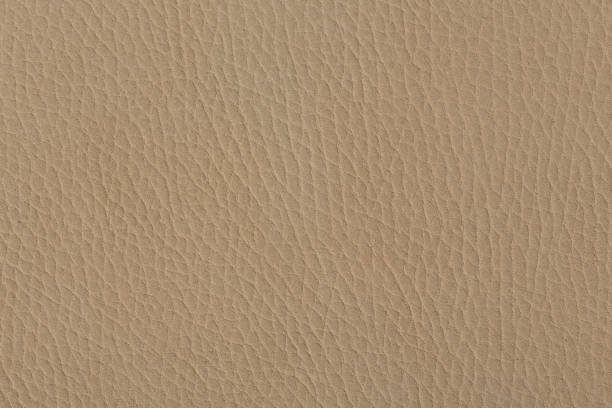 istock Close up of a beige leather texture. 1096464430
