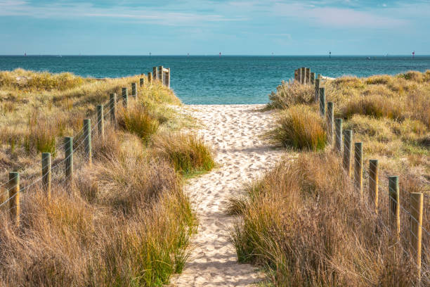 A sandy path A sandy path between grassy dunes leads to the sea at Port Melbourne in Victoria, Australia port melbourne melbourne stock pictures, royalty-free photos & images