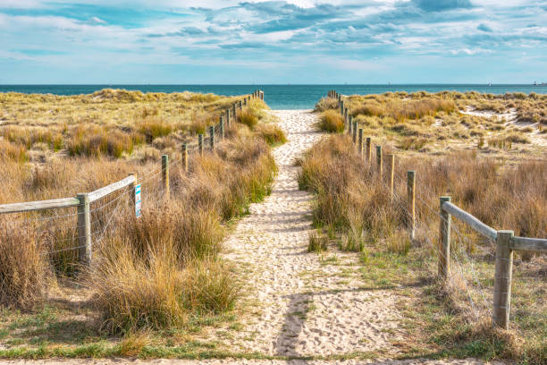 A sandy path A sandy path between grassy dunes leads to the sea at Port Melbourne in Victoria, Australia port melbourne melbourne stock pictures, royalty-free photos & images