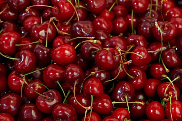 świeże czerwone wiśnie na rynku detalicznym z bliska - black cherries zdjęcia i obrazy z banku zdjęć